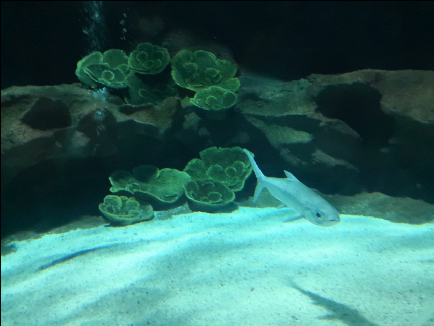 北京工体富国海底世界周一营业,北京工体富国海底世界旅馆