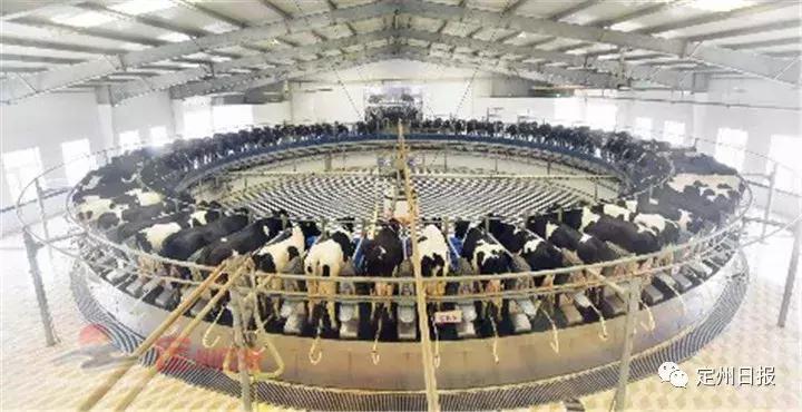 两分钟定州美景视频,定州最惊艳的地方