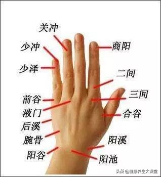 把穴位像药物一样分类后，运用竟如此简单