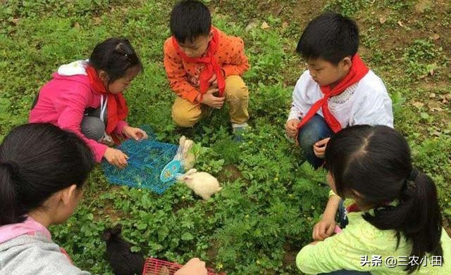 农村创业好项目投资少见效快,农村无需投资的创业项目