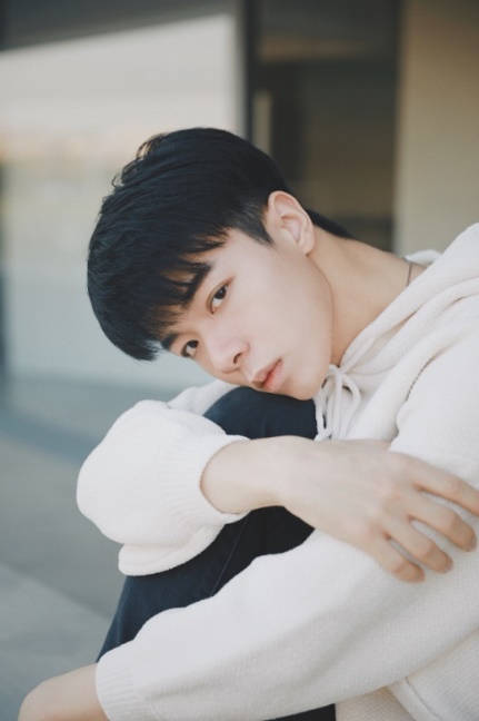 上海947草地音乐节直播,947草地音乐节