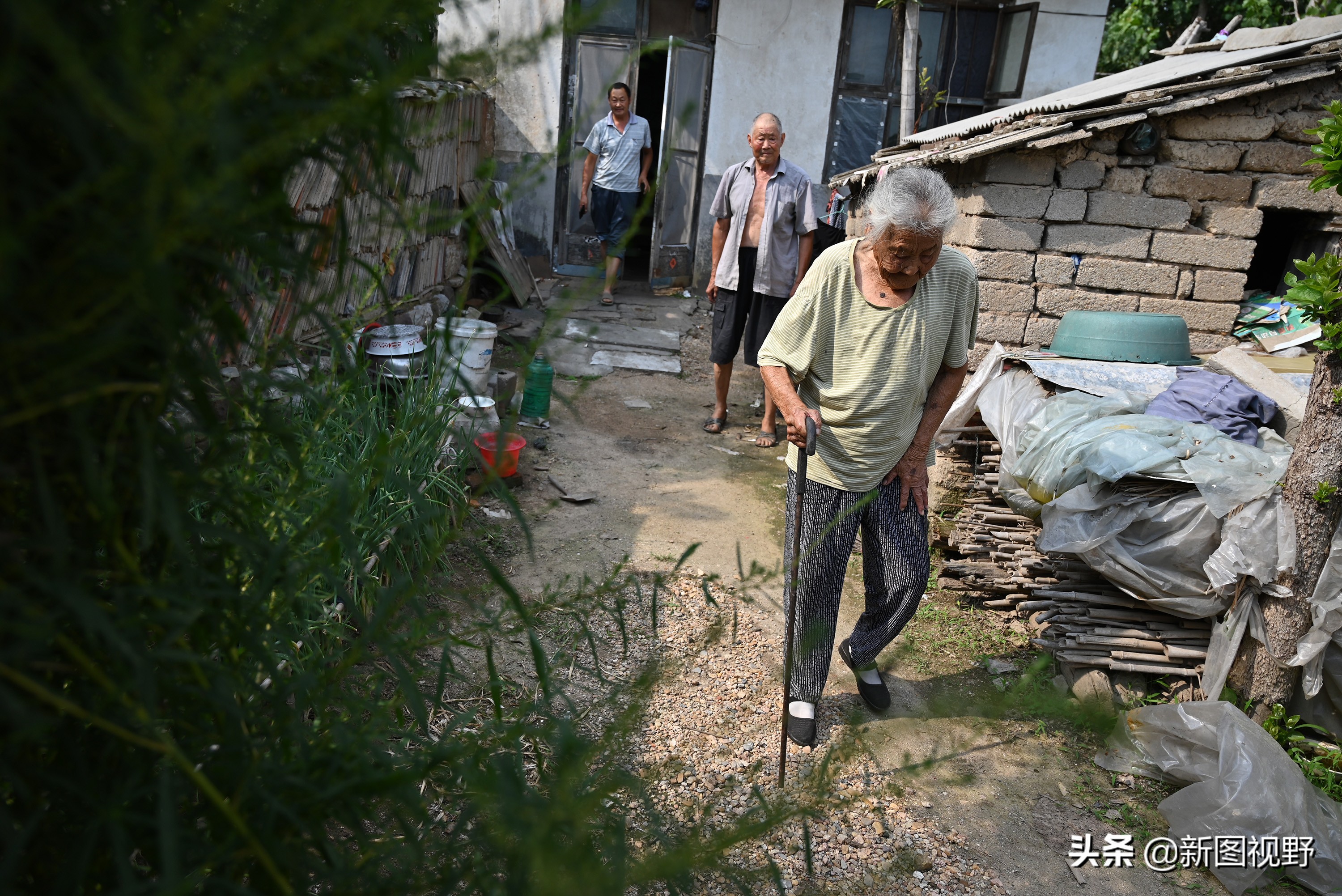 77岁儿子谈长寿经验,100岁母亲插话说出生活秘诀,极具人生智慧