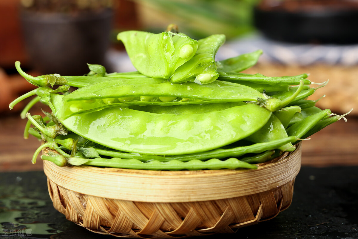 荷兰美景的照片,好看的荷兰风景图