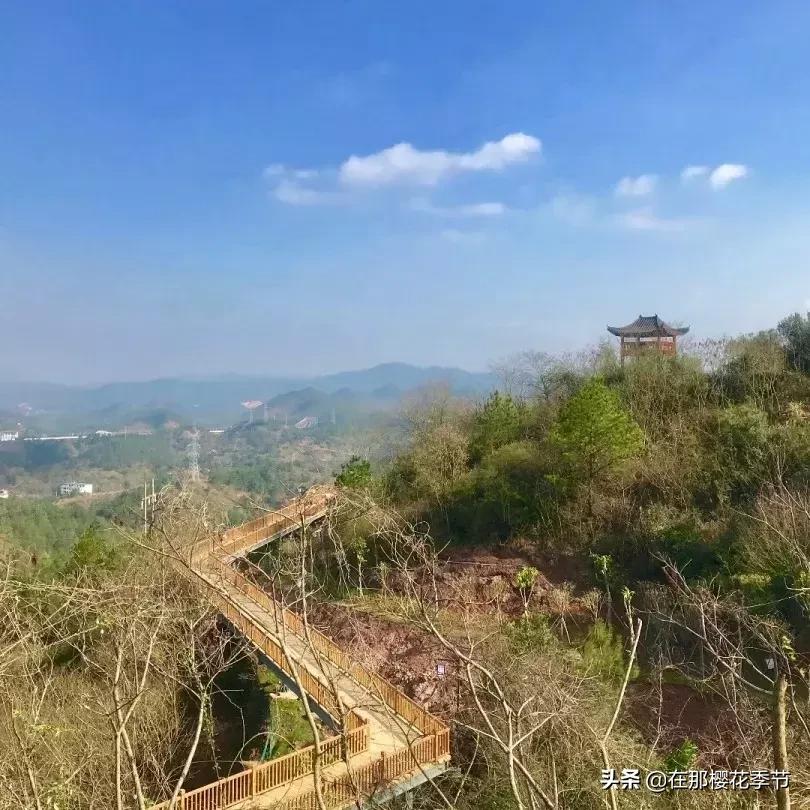 马祖岩人文公园大概多少公里,马祖岩人文公园夜光路