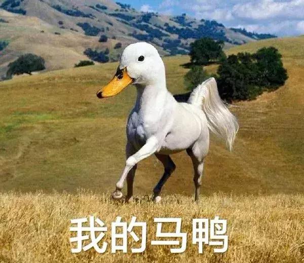 产后避孕最好的方法是哪种,妇科避孕最好的方式是什么