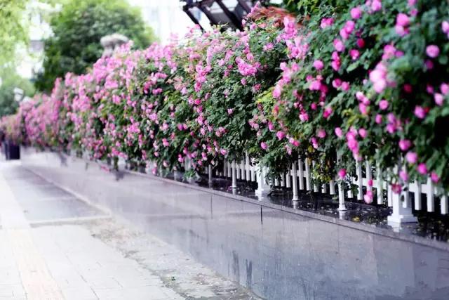 南京是属于哪个省的,南京是现在的哪个城市