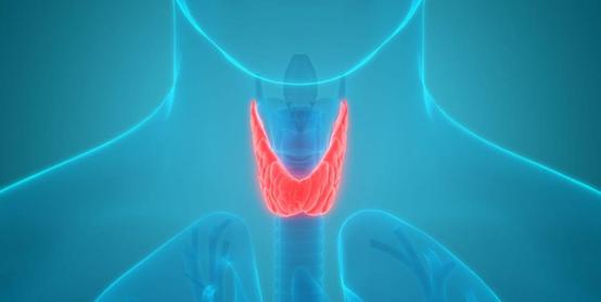 任正非谈孟晚舟事件对华为的影响,华为任正非与女儿孟晚舟的格局