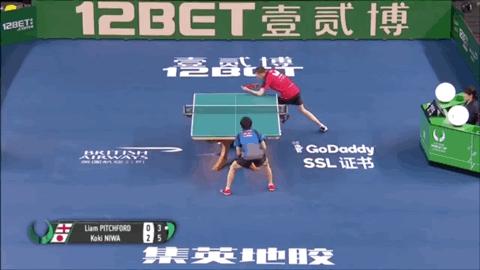 刘国梁日本乒乓球选手,乒乓球日本最佛系的选手