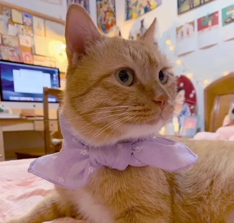 不要失去对生活的勇气,愿你总有重启的勇气