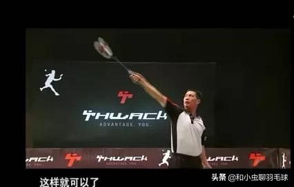 羽毛球的招式描写,羽毛球比喻式动作