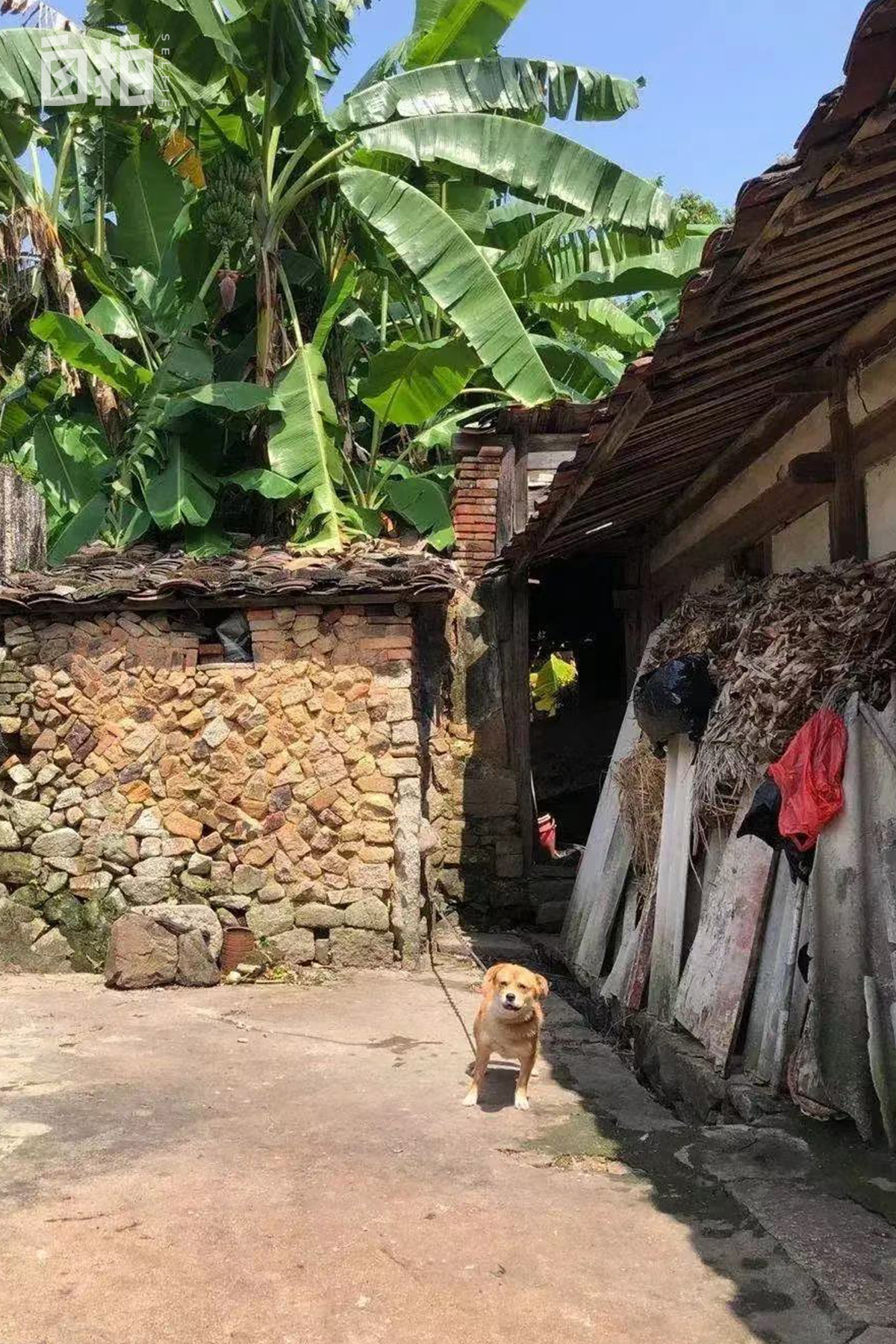 打工三年在美国买大房子,19岁到美国打工14年未回家