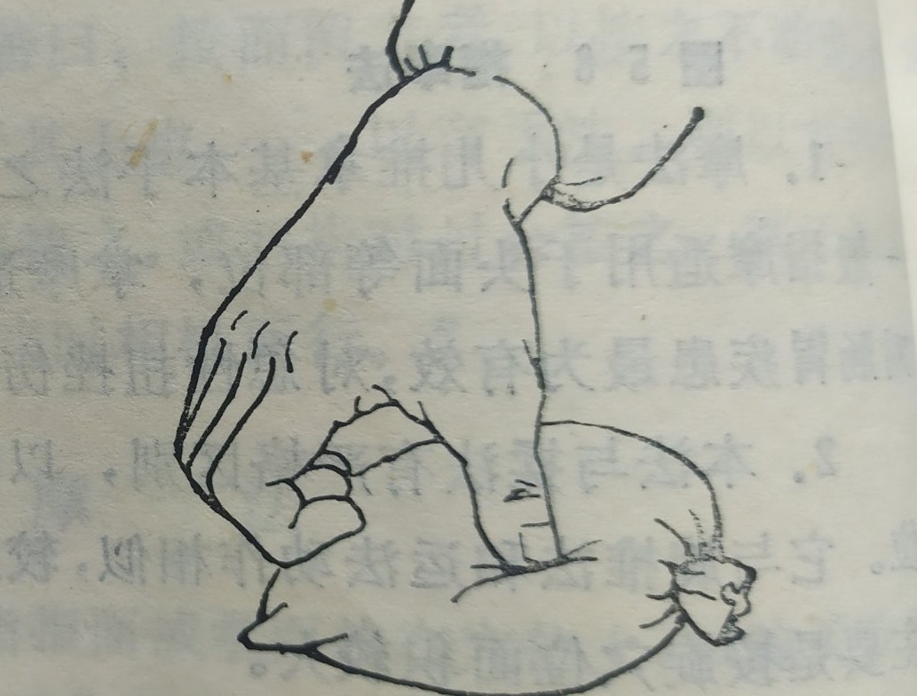 零基础学习中医按摩,零基础学中医按摩