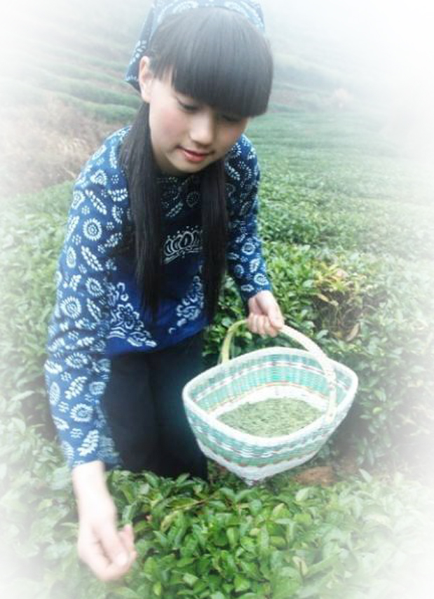 诗友原创诗歌分享,五月的唯美诗词散文