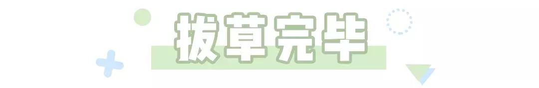 张馨予代购被骗案例,张馨予代购是真的吗