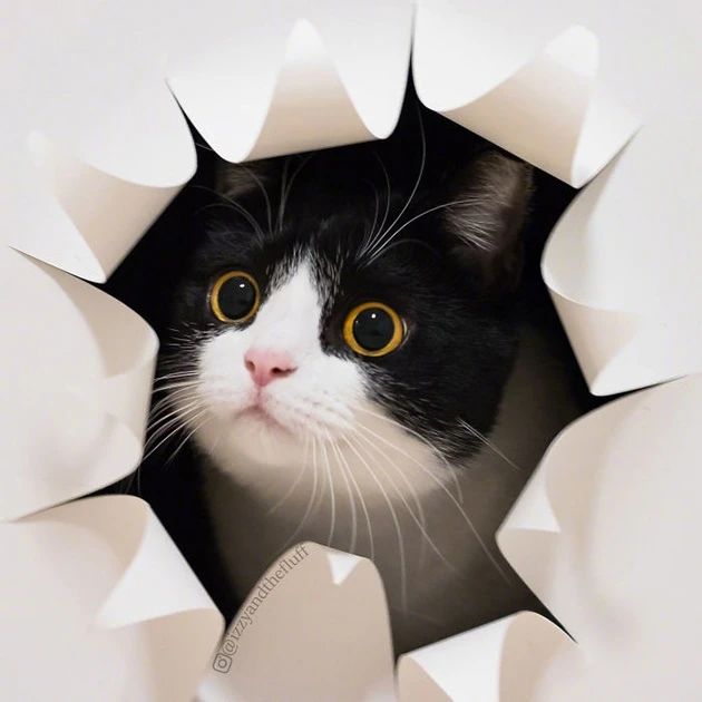 菊部周边长了个肉疙瘩,菊部旁边长了个肉疙瘩