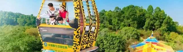 暑假掂过?种草广州长隆野生动物世界!零距离接触动物