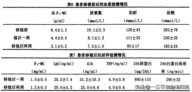 糖尿病肾病患者福音：干细胞疗法五大优势，打破传统干预肾病困局