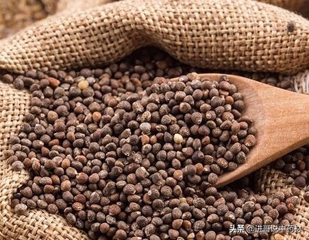 中药材批发市场各种中药价格,中药材白英批发价格