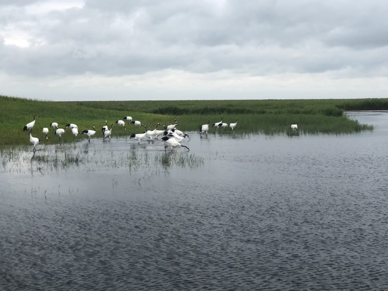 蒙乡行思记全文 (蒙乡行思)