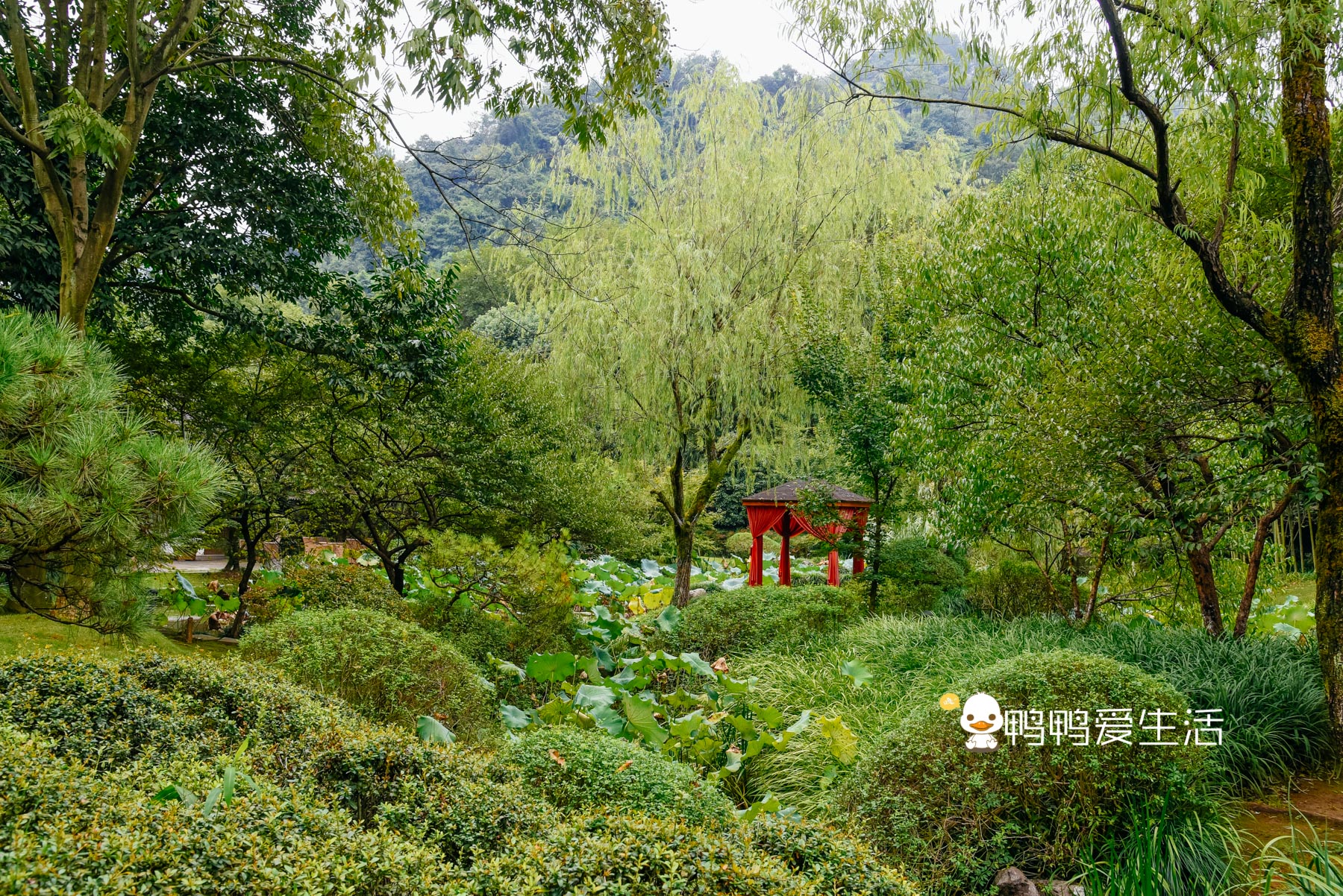 杭州乾隆游览过的景点,杭州景点推荐最值得去的景区
