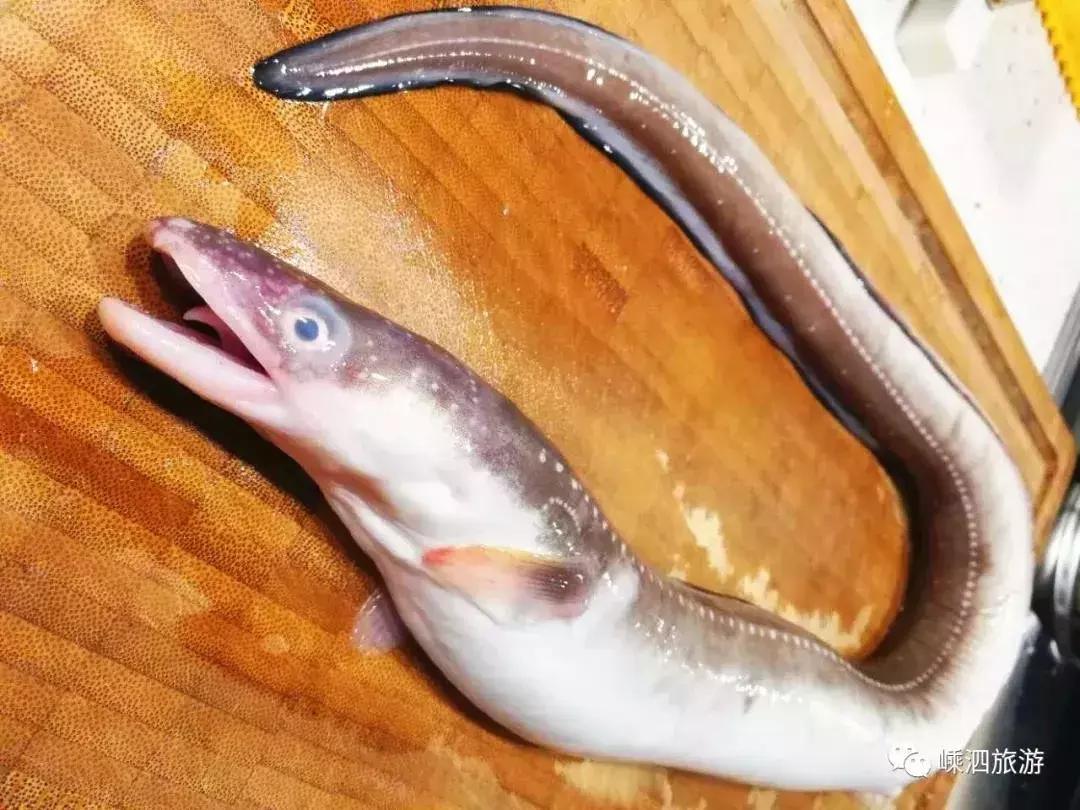 海捕常见海鱼,东海海鱼图片和名称大全