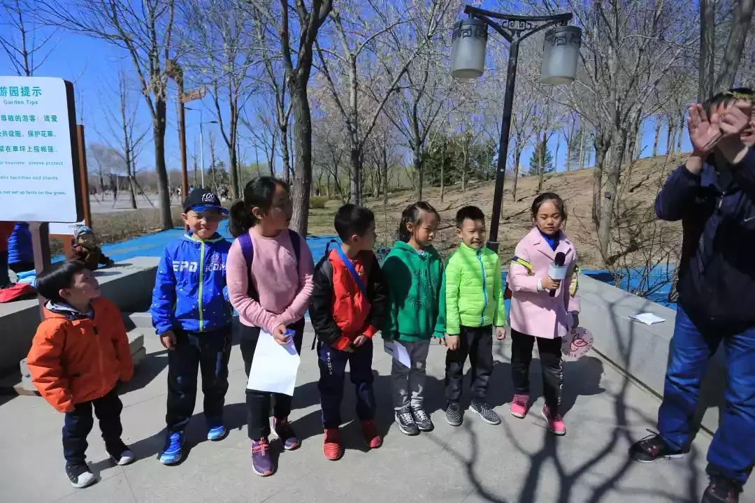 首都师范大学附属云岗小学:追溯北京古风韵遍寻春日俏风光