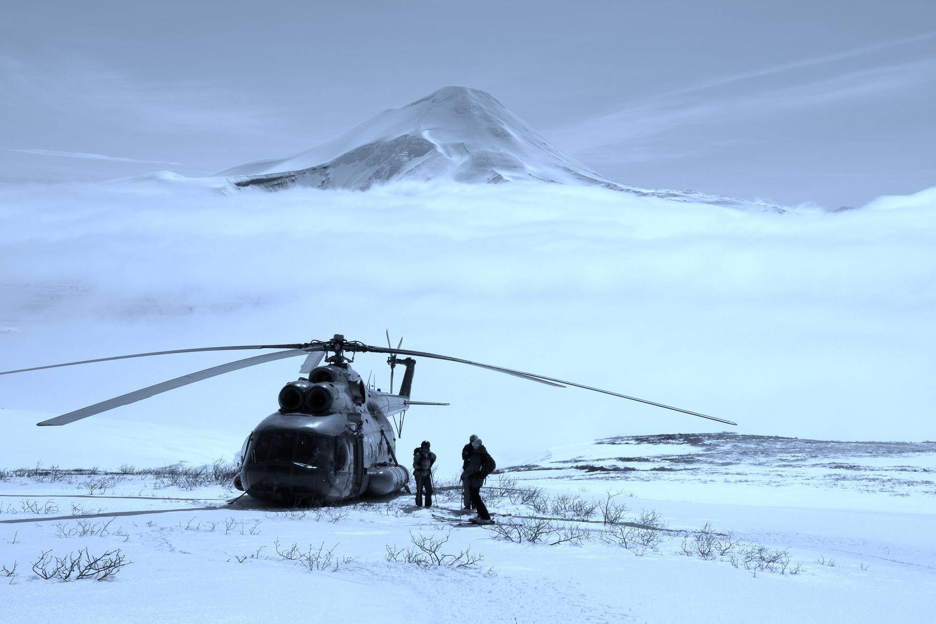 曾抵挡住侵略者脚步的半岛，如今对华免费电子签，鱼子酱*公论**斤卖