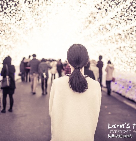 日本关西京都奈良旅游,日本关西自由行之奈良