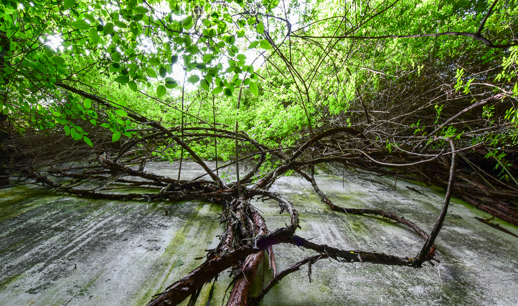 苏州最小的园林500平,苏州十大名园排名