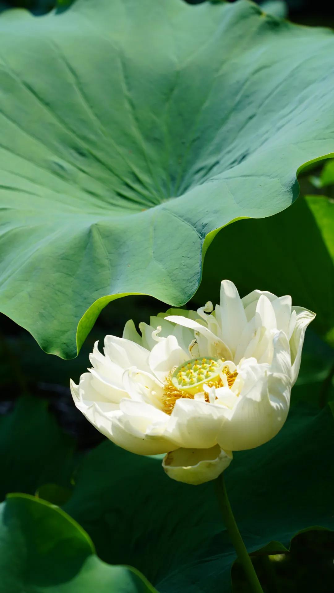 如何成为一名合格的投资者,如何做一名合格的投资者雪球