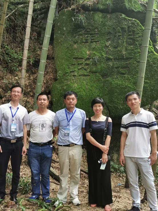 江湖路的风景视频,江湖路上走走停停