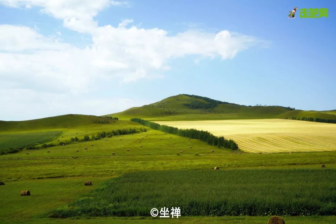 呼伦贝尔不为人知的景点,呼伦贝尔地区道路风景