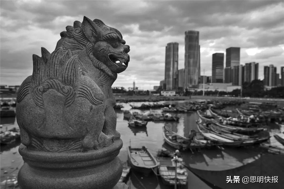 每一张照片都值得珍藏与回忆,每一张都值得纪念和珍藏