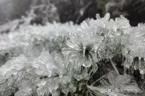 衡阳心动,衡阳南岳雾凇云海