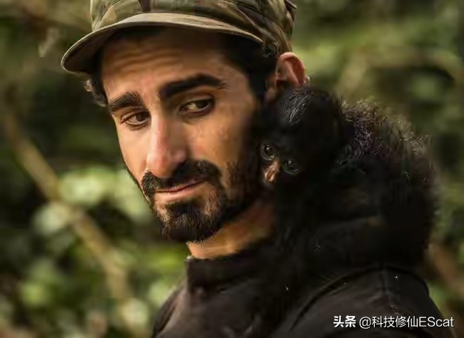 蟒蛇吃人国家赔钱吗,蟒蛇被抓为何会吐食物