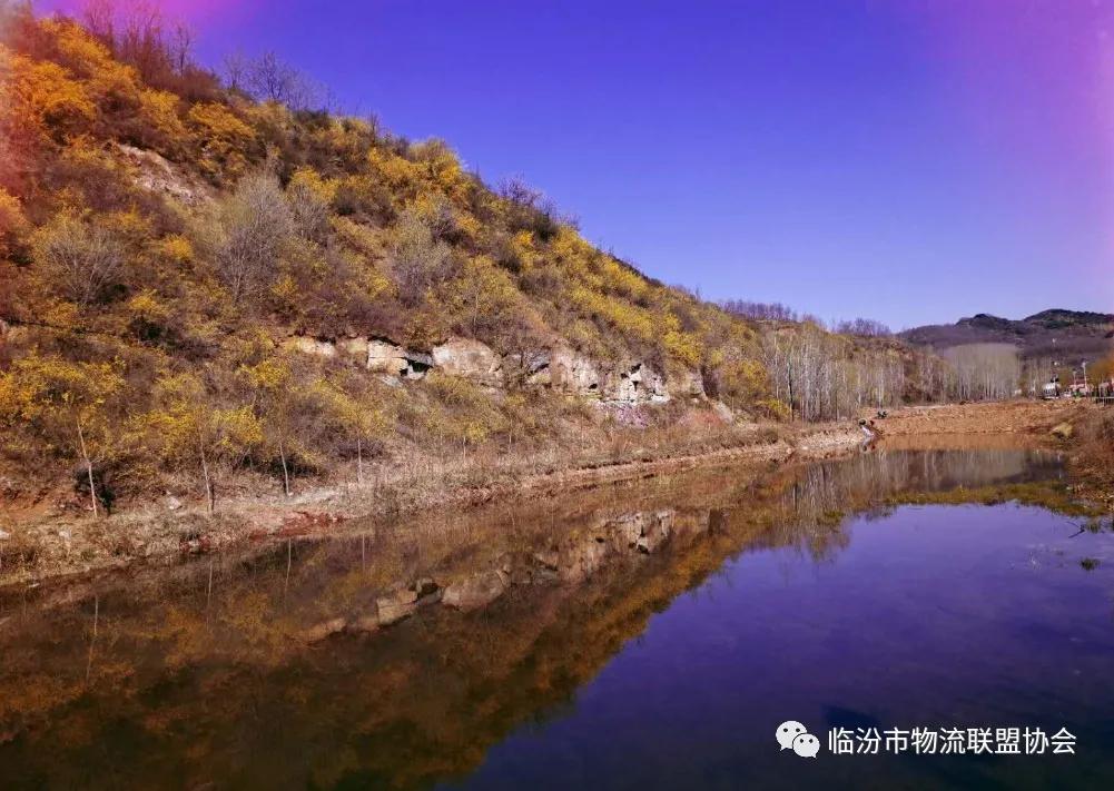 「头条」寨圪塔精神美名传晋扁担电商誉平阳