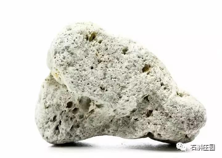 种植石斛兰的正确方法,石斛兰如何种植长得好看