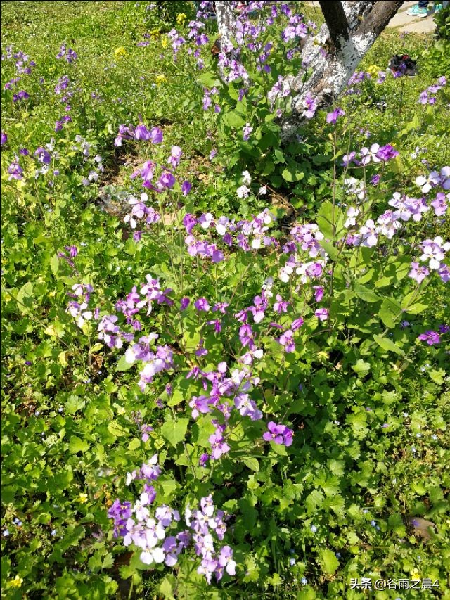 宜兴竹海徒步路线推荐,宜兴竹海最高海拔多少