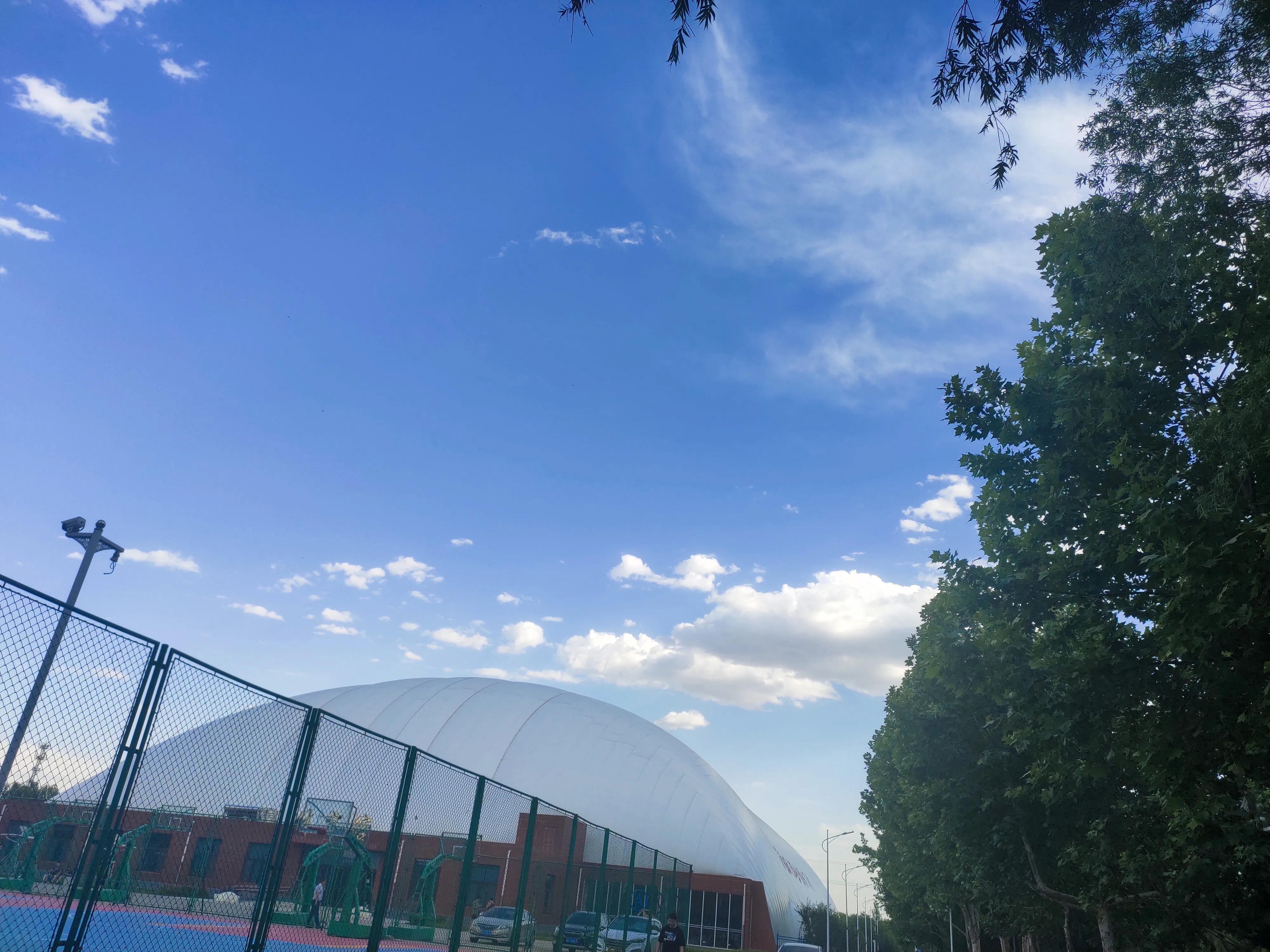 夏日限定——河北政法的美景