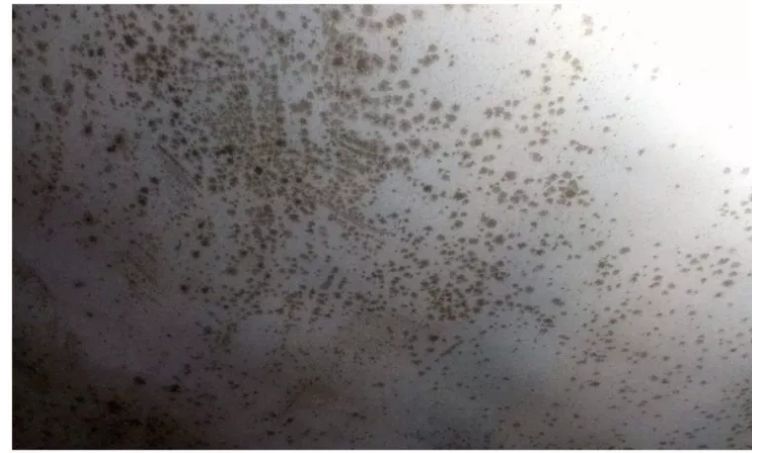 家里墙面要不要刷底漆,家里墙面没有刷底漆怎么补救