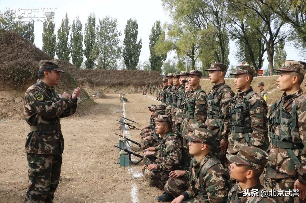 枪王还有几场复出,枪王有多少段