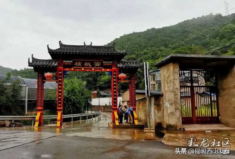 昆明近郊核桃箐村,核桃箐七彩稻田航拍