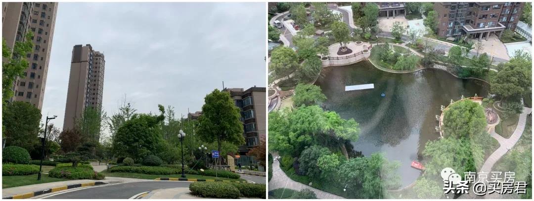 一条凤台南路两个世界！河西都救不了的小行，仁恒默默丢下王炸