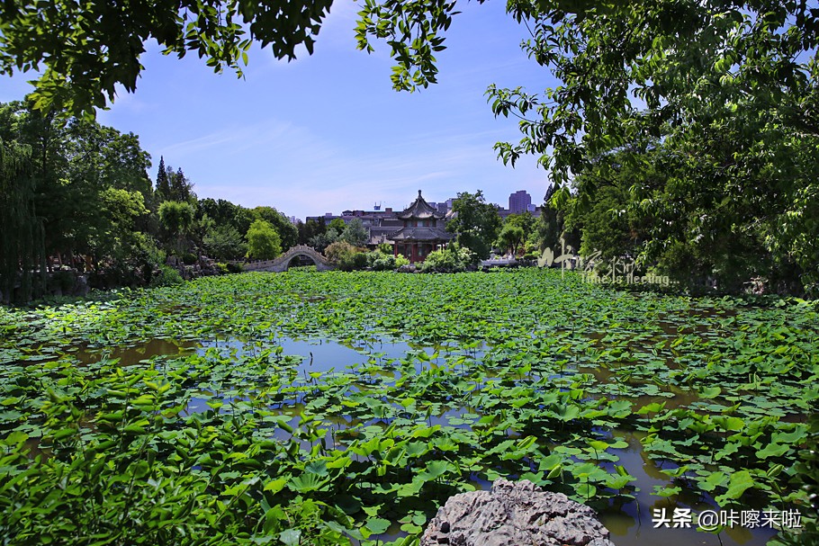保定古莲花池是皇家园林,保定古莲花池始建于哪个朝