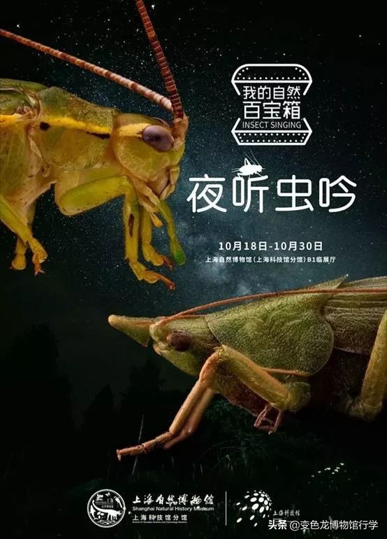 双十一不止买买买,这些好展可别错过……