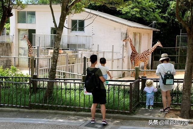 暑假带孩子去国外玩,寒假带孩子出国去哪里玩合适一些