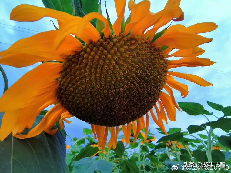 各位旅客前方到站福州站介绍,旅客们前方到达南通站