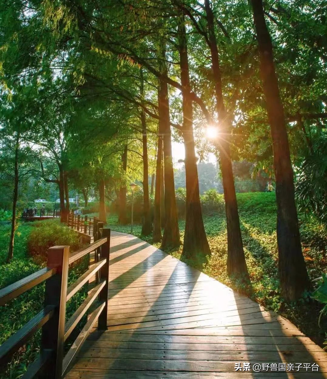 广州遛娃出游,广州遛娃3-4天攻略