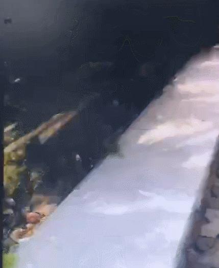 烟台市福山区公安,烟台市福山公安