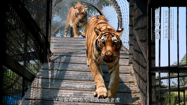 隐贤山庄迪士尼,东莞隐贤山庄旅游风景区住宿
